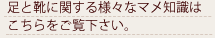 足と靴に関する様々なマメ知識はこちらをご覧ください。